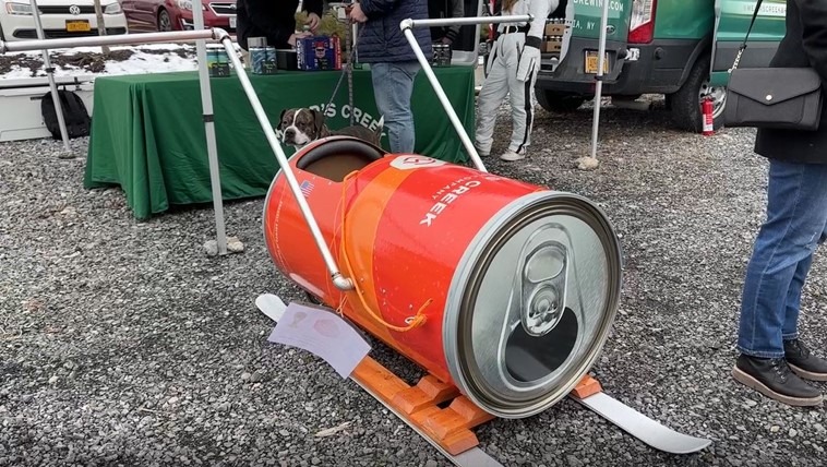 Human dogsled race at Syracuse Winterfest helps benefit a local charity